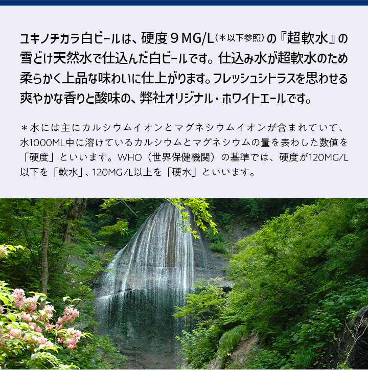 沢内醸造所プレミアムクラフトビール ユキノチカラ 白ビール 18本 6本×3