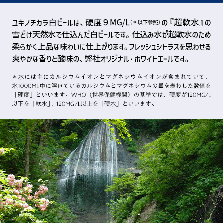 プレミアムクラフトビールセット 4種/各3本 12缶