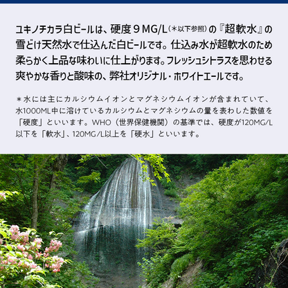 プレミアムクラフトビールセット 4種/各3本 12缶