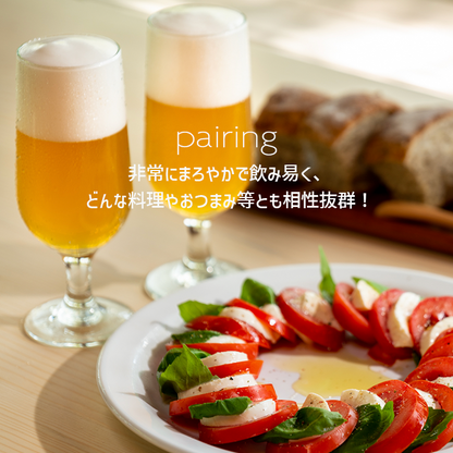 沢内醸造所 プレミアムクラフトビール わんこびぃるケルシュ 300ml瓶 24本 6本×4