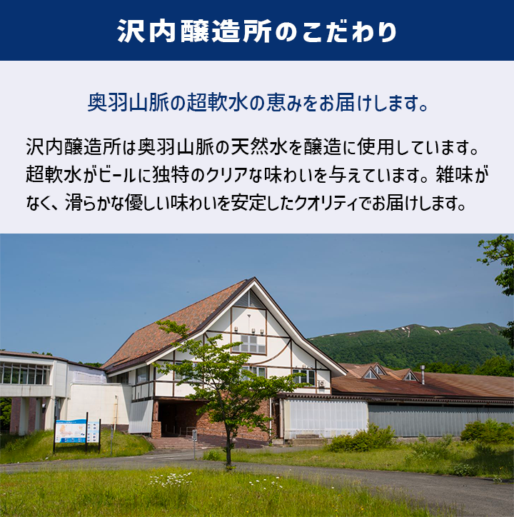 沢内醸造所 プレミアムクラフトビール わんこびぃるケルシュ 300ml瓶 24本 6本×4