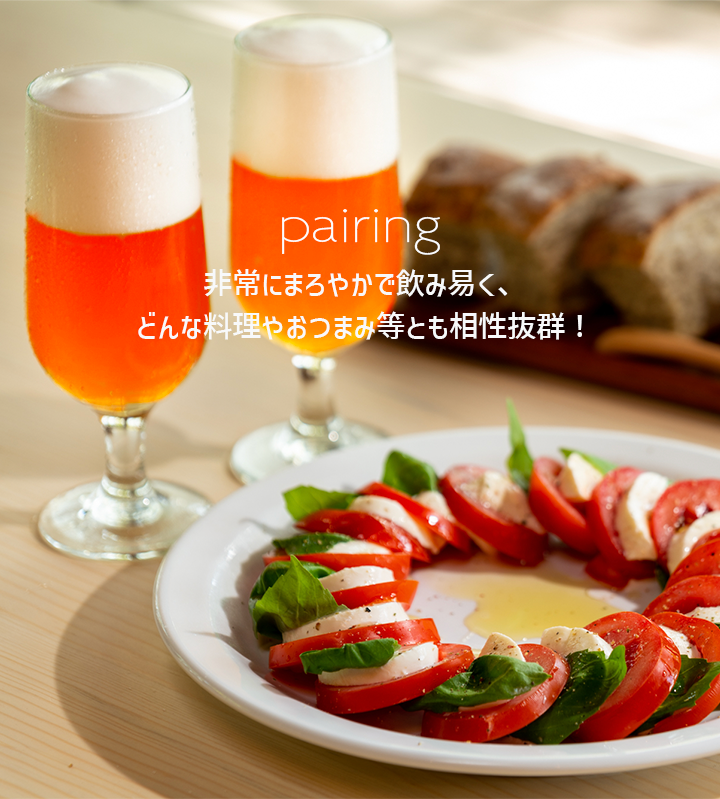 夕やけ小やけの赤びいるレッドエール 18缶 6本×3