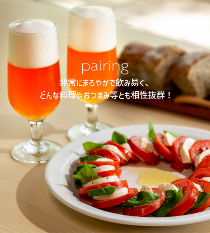 夕やけ小やけの赤びいるレッドエール 18缶 6本×3